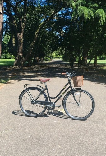 Classic style ladies bike with