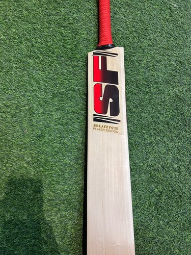 English willow cricket - english,