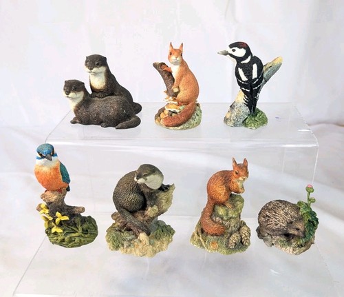 Border fine arts wildlife - border,