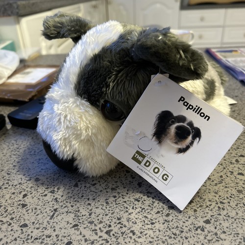 Papillon the dog artist - the,