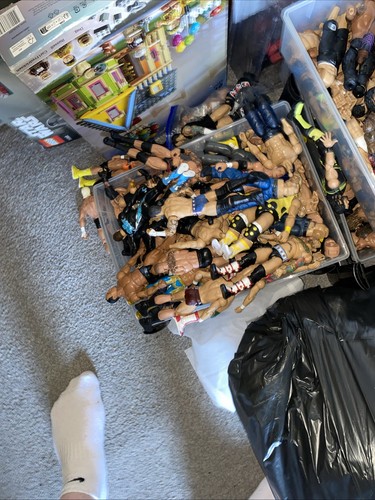 Mystery wwe action figure - wwe,