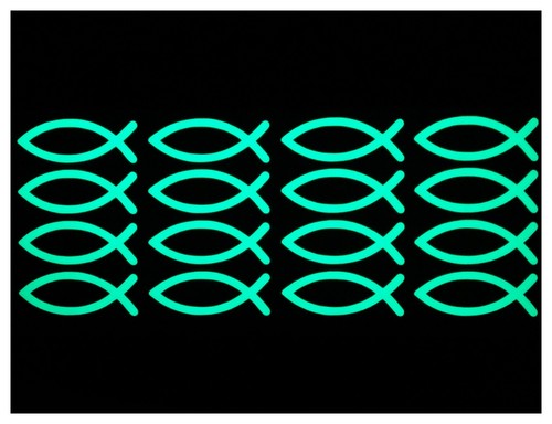 Glow the dark - glow,