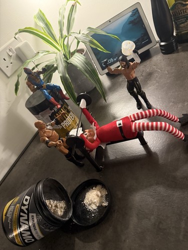 Elf the shelf benchpress - on,