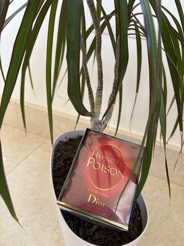 Dior hypnotic poison 100ml eau - 100ml,