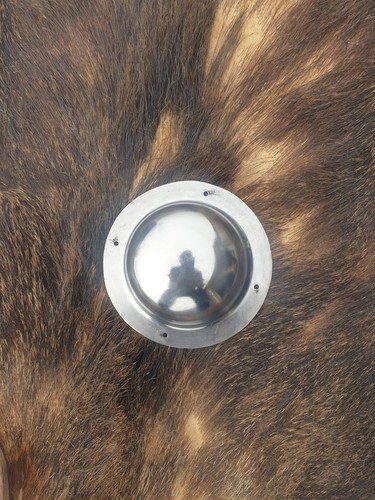 Viking shield boss - shield,