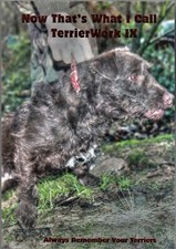 DARCY JONATHAN TERRIERS BOOK