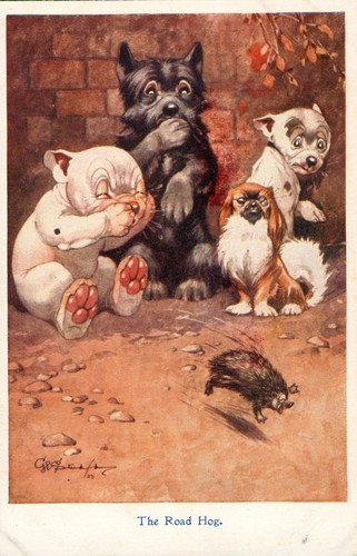 Bonzo postcard george - postcard, e