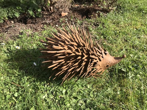 Brown spikey hedgehog - brown,