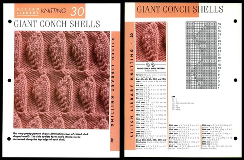 Giant conch shells 30 - conch, #30