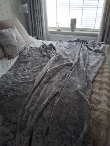 Dunelm grey crushed velvet - dunelm,