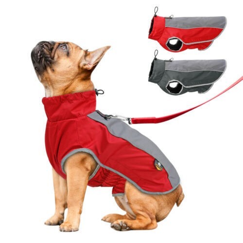 Waterproof dog coat winter - coat,