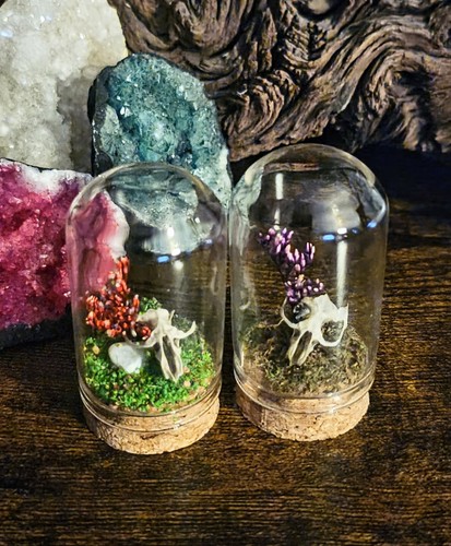 Glass dome cloche ornament - glass,