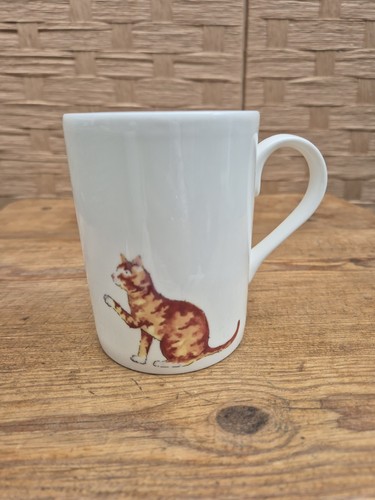 Roy kirkham cats ginger - roy,