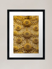 United Arab Emirates. Arabian