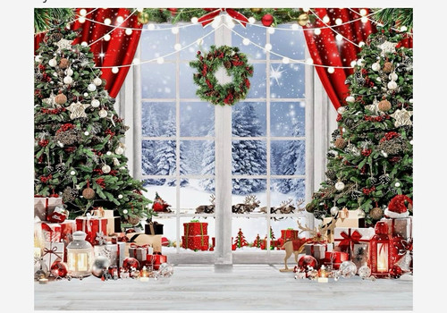 Christmas vinyl photography - christmas,