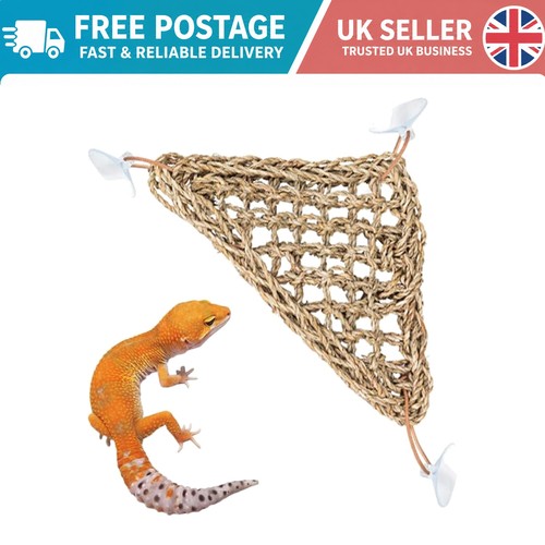 Natural seagrass reptile - natural,