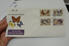 Zambia butterflies first day