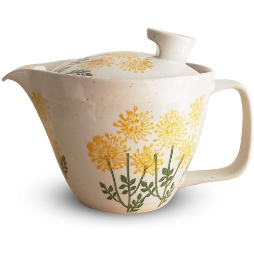 Kitchens teapot hasami - teapot,,