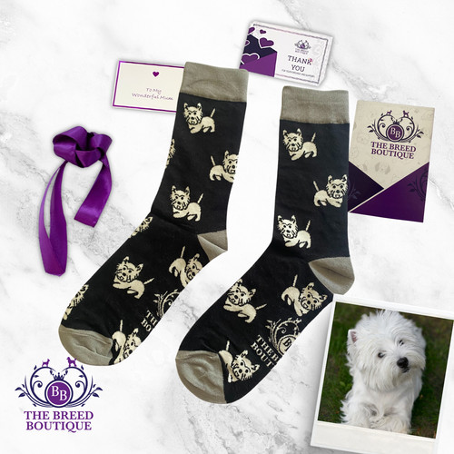 West highland terrier socks - socks, x