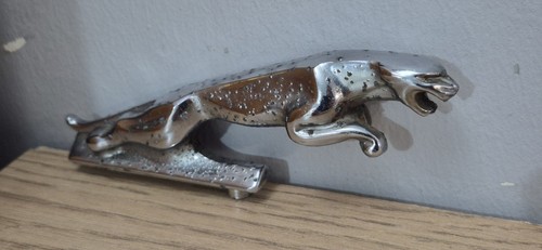Jaguar leaper cat - leaper, bonnet
