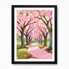 Cherry Blossoms 8 Art Print