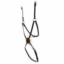 Collegiate Mono Crown Grackle