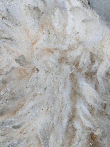 Raw texel fleece 2kg - x,