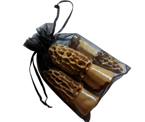 Morel mushrooms bag - in, set