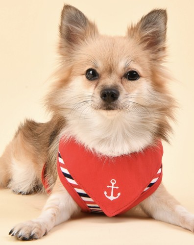 Puppia seaman nautical harness - puppia,