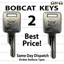 2 x BOBCAT KEYS Skid Steer E10 E17 E19 E20 Code D250 CASE 751 753 763 Master Key