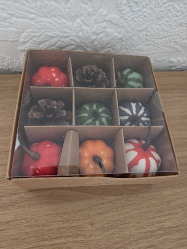Mini pumpkin gourds pinecones - mini, pumpkin/gourds/pinecones