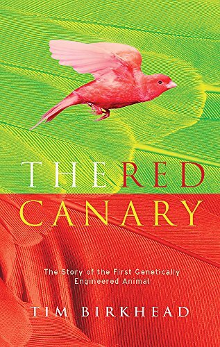 The red canary - canary:,
