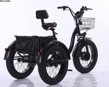 20" Folding Electric Trike 48V