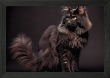black Maine Coon cat Framed