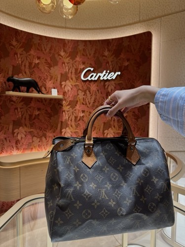 Louis vuitton speedy - vuitton, 25