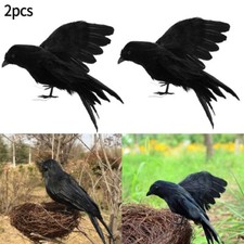 Black Lifesize Raven Movie Prop Fake Crow Halloween Hunting Decor Bird Brand New