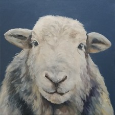 Herdwick sheep canvas print, What do you think, Thuline ,Wall Art, home, 60x60cm