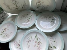 E Brain & Co Ltd Foley Bone