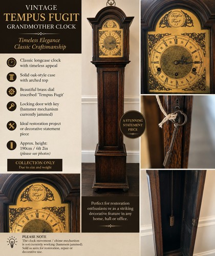 Vintage tempus fugit - vintage,