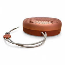 Bang & Olufsen Beosound A1 In
