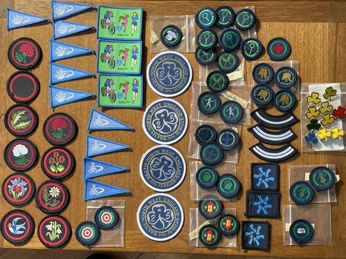 Vintage girl guides collection - vintage,