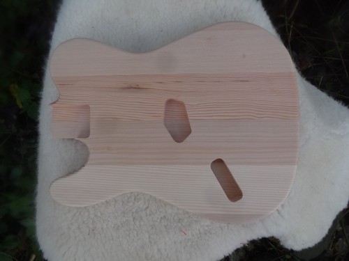 Left handed snakehead tele - left,