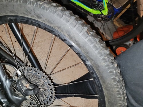 2021 trek remedy - trek, m/l 
