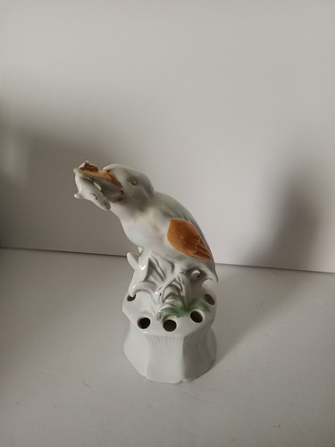 Vase frog for flower - , display