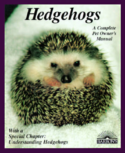 Hedgehogs how take care - to,