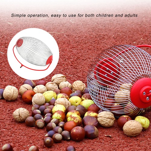 Fruit nut picker tool - nut,