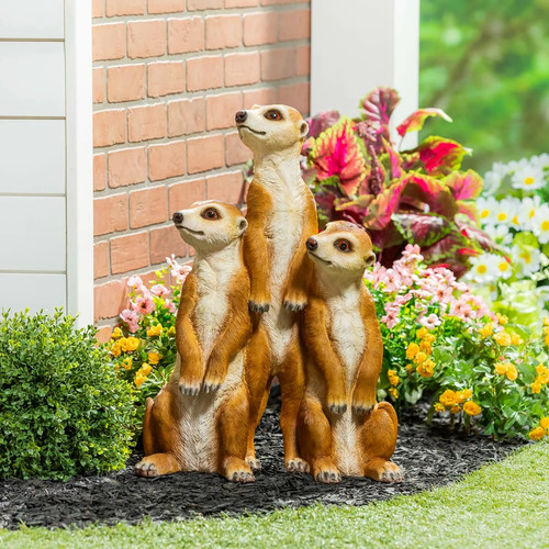 Evergreen meerkat garden - meerkat,