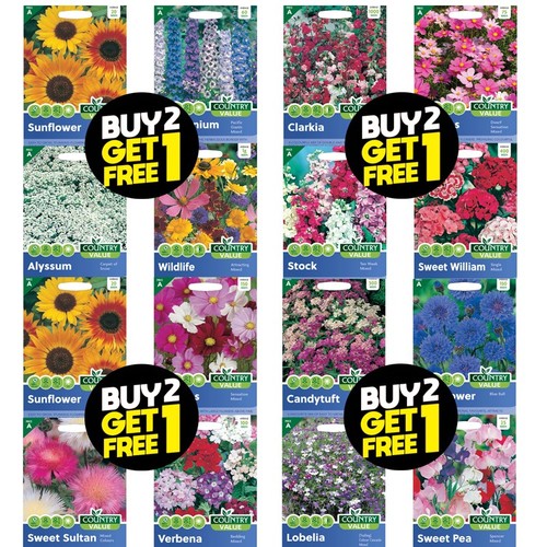 Flower seeds zinnia foxglove - seeds,