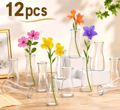12pcs mini clear glass - clear, bud
