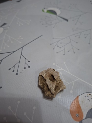Limestone collection - limestone,